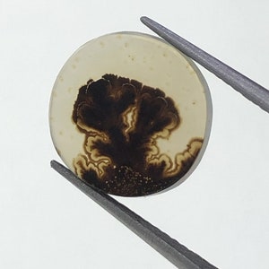 Natürlicher Achat !!! Dendritenachat Cabochon, lose Edelstein, dendritischen Achat für die Herstellung von Schmuck Pendent