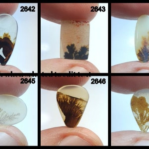 Fantastisch ontwerp dendritische agaat cabochon, losse edelsteen, dendritische agaat voor het maken van hangende sieraden