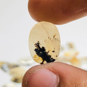 Natürlicher Achat !!! Dendritenachat Birne Cabochon, Lose Edelstein, Dendritenachat 10x13 Größe für die Herstellung von Schmuck Pendent