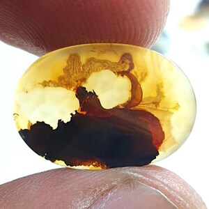 Wunderschöner Designer Dendriten Achat !!!  NATÜRLICHER Dendritischer Achat Cabochon, loser Edelstein, 13 x 19 mm Dendritischer Achat zur Herstellung von Schmuckanhängern.