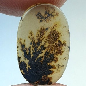 Riesige Größe !!! Dendritenachat Oval Cabochon, Lose Edelstein, Dendritenachat für die Herstellung von Schmuck Pendent Größe 17X11 MM