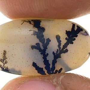 Riesige Größe !!! Dendritenachat Cabochon, Lose Edelstein, Dendritenachat für die Herstellung von Schmuck Pendent Größe 16 x 9 MM