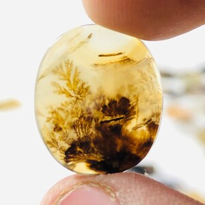 Wunderschöner Designer Dendriten Achat !!! NATÜRLICHER Dendritenachat Cabochon, loser Edelstein, 15X18 MM Dendritenachat für die Herstellung von Schmuck Pendent.