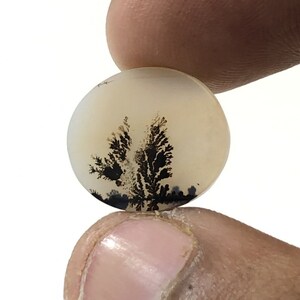Erstaunlicher Design Achat !!! NATÜRLICHER Dendritischer Achat Oval Cabochon, loser Edelstein, Dendritischer Achat für die Herstellung von Schmuck Pendent.