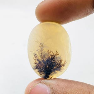 Riesige Größe !!! Dendritenachat Birne Cabochon, Lose Edelstein, Dendritenachat für die Herstellung von Schmuck Pendent Größe 25 x 20 MM