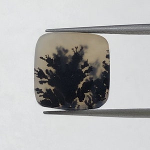 Natürlicher Achat !!! Dendritenachat Birne Cabochon, lose Edelstein, dendritischen Achat für die Herstellung von Schmuck Pendent