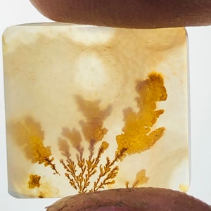 Wunderschöner Designer Dendriten Achat !!! NATÜRLICHER Dendritenachat Cabochon, loser Edelstein, 14X15 mm Dendritenachat für die Herstellung von Schmuckanhängern.