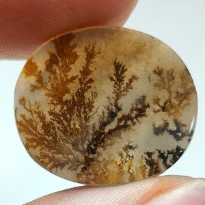 100% Natürlich Landschaftlich Achat !!! Baumachat, Dendritenquarz, Dendritenachat, Malerischer Achat-Edelstein, Dendritenachatstein, Größe 23 x 20 MM