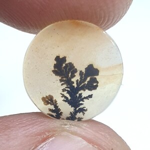 Wunderschöner Designer Dendriten Achat !!! NATÜRLICHER Dendritenachat Cabochon, 12 x 12 mm Kleiner Edelstein, Dendritenachat zur Herstellung von Schmuckanhängern.