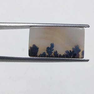 Designer Stone  !!! Dendritic Agate fancy  Cabochon, Loose Gemstone, Dendritic Agate For Making Jewelry Pendent Size 18x10 MM