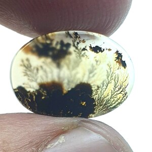 Riesige Größe !!! Dendritenachat Oval Cabochon, Lose Edelstein, Dendritenachat für die Herstellung von Schmuck Pendent Größe 16x12 MM