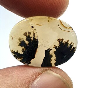 Riesige Größe 20x15 MM !!! Dendritenachat Oval Cabochon, lose Edelstein, dendritischen Achat für die Herstellung von Schmuck Pendent