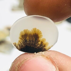 Wunderschöner Designer Dendriten Achat !!! NATÜRLICHER Dendritenachat Cabochon, loser Edelstein, 13x8 MM Dendritenachat für die Herstellung von Schmuck Pendent.