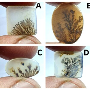NATURAL Dendritic Achat Cabochon, Größe 20x12 T bis 10x12 ca. Lockerer Edelstein, Dendritischer Achat zur Schmuckherstellung In der Größe Pendent.