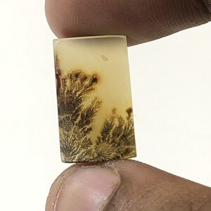 Erstaunlicher Design Achat !!! NATÜRLICHER Dendritischer Achat Oval Cabochon, loser Edelstein, Dendritischer Achat für die Herstellung von Schmuck Pendent.