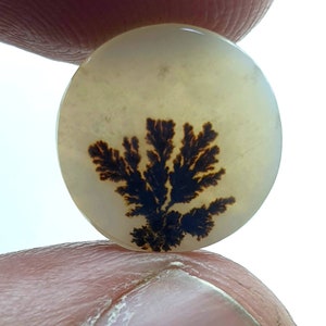 Natürliche dendritische Achat Cabochon, lose Edelstein, dendritische Achat für die Herstellung von Schmuck Pendent Größe.