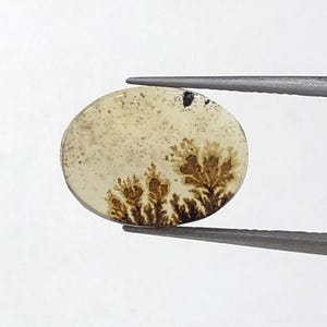 Natürliche dendritische Achat Cabochon, lose Edelstein, dendritische Achat Stein, Shajri Akik für die Herstellung von Schmuck