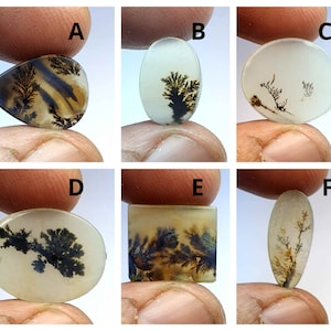 Dendrit Cabochon, Malerische Dendriten Achat Cabochon, Shazar Dendrit Edelstein, Shazar Achat Shazar Achat Cabochon