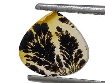 Ágata escénica 100 % natural. Ágata arbórea, cuarzo dendrítico, ágata dendrítica, piedra preciosa de ágata escénica, tamaño 10 x 9 mm.