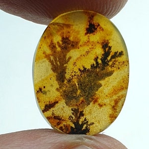 Riesige Größe !!! Dendritenachat Oval Cabochon, Lose Edelstein, Dendritenachat für die Herstellung von Schmuck Pendent Größe 18x14 MM