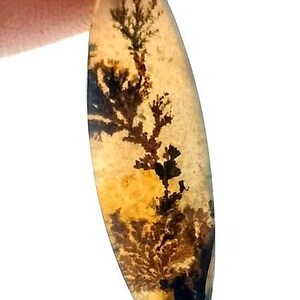 100% Natürlich Landschaftlich Achat !!! Baumachat, Dendritenquarz, Dendritenachat, Malerischer Achat-Edelstein, Dendritenachatstein, Größe 28x8 MM