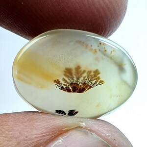 Natürlicher Achat !!! Dendritenachat Oval Cabochon, lose Edelstein, dendritischen Achat für die Herstellung von Schmuck Pendent