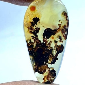 Große Größe !!! Dendritischer Achat Pear Cabochon, Lose Edelstein, Dendritischer Achat zur Schmuckherstellung, Größe 20x11 MM