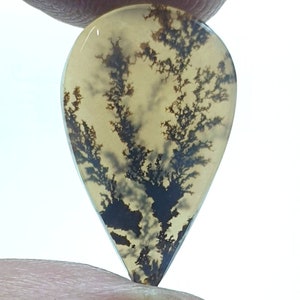 Dimensioni enormi!!! Cabochon a pera di agata dendritica, pietra preziosa sciolta, agata dendritica per realizzare gioielli con pendente, dimensioni 20x12 MM