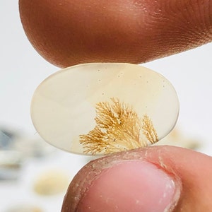 Natürlicher Achat !!! Dendritenachat Birne Cabochon, Lose Edelstein, Dendritenachat 15X9 Größe für die Herstellung von Schmuck Pendent