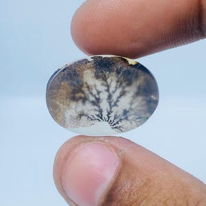 Riesige Größe !!! Dendritenachat Cabochon, Lose Edelstein, Dendritenachat für die Herstellung von Schmuck Pendent Größe 21 x 15 MM