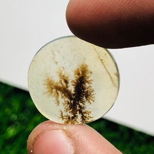 Wunderschöner Designer Dendriten Achat !!!  NATÜRLICHER Dendritischer Achat Cabochon, loser Edelstein, 18 x 18 mm Dendritischer Achat zur Herstellung von Schmuckanhängern.