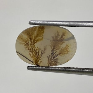 100% Natürlich Landschaftlich Achat !!! Baumachat, Dendritenquarz, Dendritenachat, Malerischer Achat-Edelstein, Dendritenachatstein, Größe 14 x 9 MM