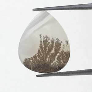 Natürlicher Achat !!! Dendritenachat Cabochon, lose Edelstein, dendritischen Achat für die Herstellung von Schmuck Pendent