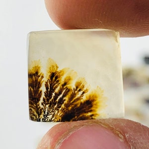 Wunderschöner Designer Dendriten Achat !!! NATÜRLICHER Dendritischer Achat Cabochon, loser Edelstein, 12X12 MM Dendritischer Achat für die Herstellung von Schmuck Pendent.