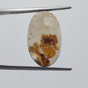 Designerstein !!! Dendritenachat Phantasie Cabochon, lose Edelstein, Dendritenachat für die Herstellung von Schmuck Pendent Größe 19 x 11 MM