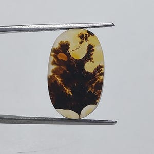 Designerstein !!! Dendritische Achat Phantasie Cabochon, lose Edelstein, dendritische Achat für die Herstellung von Schmuck Pendent Größe 19x12 MM