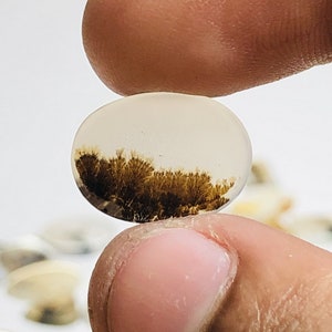 Natürlicher Achat !!! Dendritenachat Birne Cabochon, Lose Edelstein, Dendritenachat 12x10 Größe für die Herstellung von Schmuck Pendent