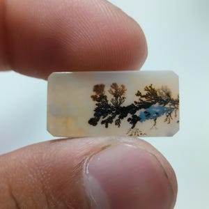 Designerstein !!! Dendritische Achat Phantasie Cabochon, lose Edelstein, dendritische Achat für die Herstellung von Schmuck Penent Größe 22 x 11 MM