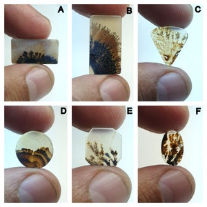 Fantastisch ontwerp dendritische agaat Cabochon, losse edelsteen, dendritische agaat voor het maken van sieraden pendent