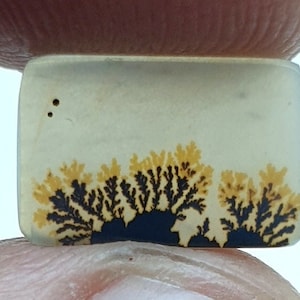 Riesige Größe !!! Dendritenachat Rechteck Cabochon, Lose Edelstein, Dendriten Achat für die Herstellung von Schmuck Pendent Größe 12 x 8 MM