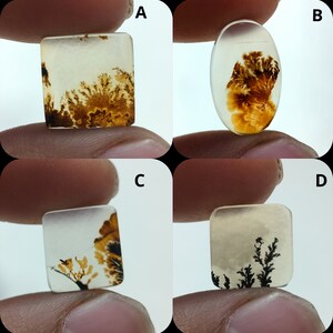 Natürlicher Dendritenachat, Dendritischer Cabochon, Achat-Lose Edelstein, Malerischer Dendritischer Achat, Heilende Eigenschaften, Farbe, Kraftstein