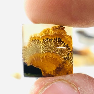 Wunderschöner Designer Dendriten Achat !!! NATÜRLICHER Dendritenachat Cabochon, loser Edelstein, 11X11 mm Dendritenachat für die Herstellung von Schmuck Pendent.