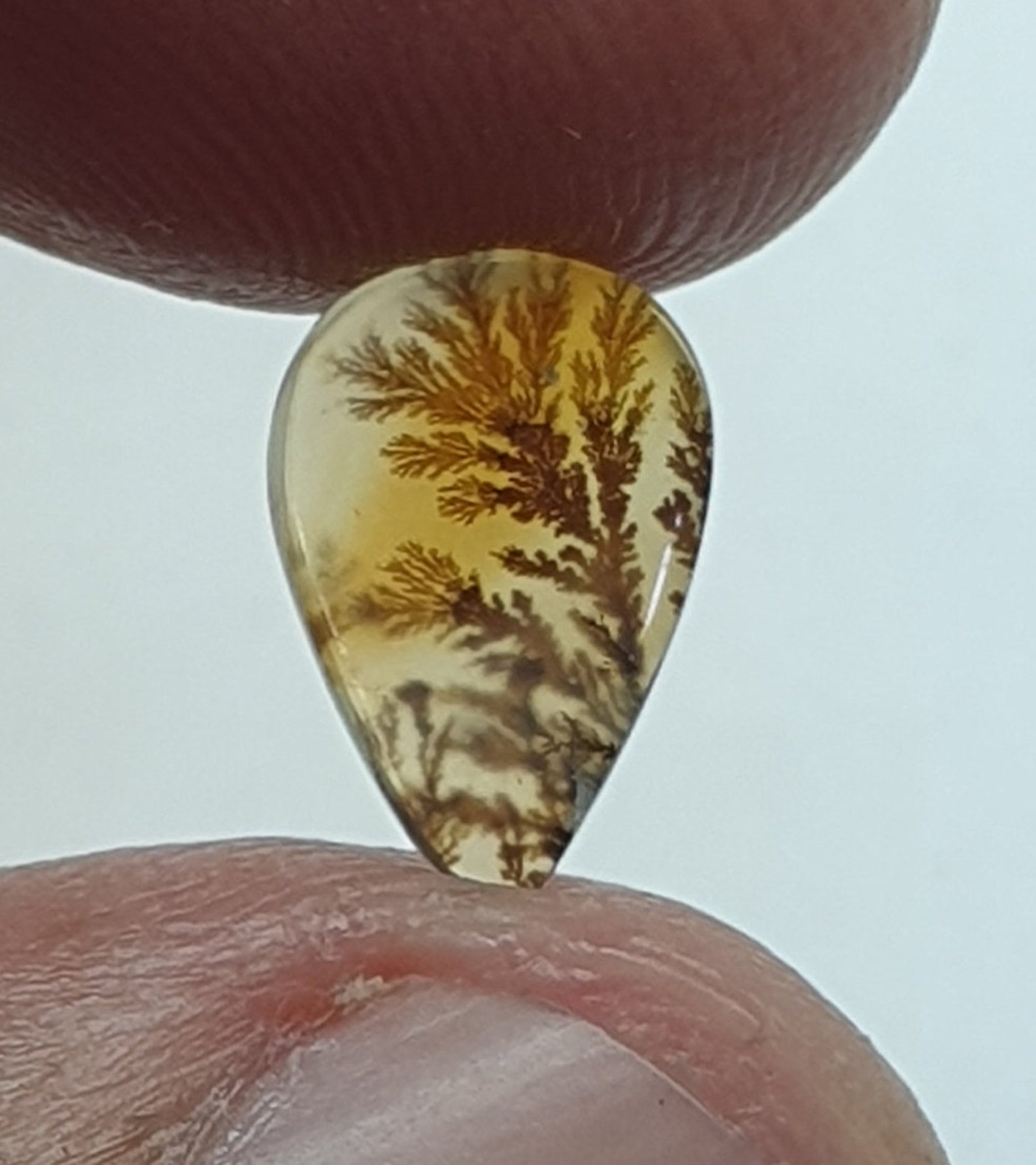 Dendritic Agate Tree Designer Cabochon Designer Agate Loose Etsy
