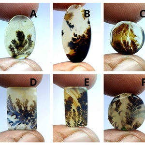 Dendrit Cabochon, Malerische Dendriten Achat Cabochon, Shazar Dendrit Edelstein, Shazar Achat Shazar Achat Cabochon