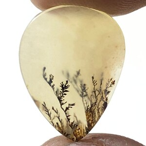 Erstaunlicher Design Achat !!! NATÜRLICHER Dendritischer Achat Oval Cabochon, loser Edelstein, Dendritischer Achat für die Herstellung von Schmuck Pendent.