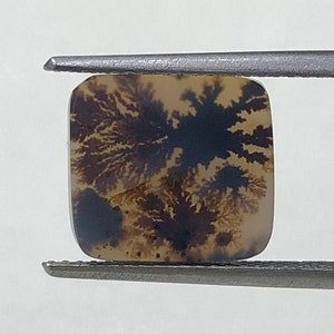 Erstaunlicher Design Achat !!! NATÜRLICHER Dendritischer Achat Oval Cabochon, loser Edelstein, Dendritischer Achat für die Herstellung von Schmuck Pendent.