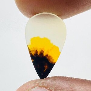 Riesige Größe !!! Dendritenachat Birne Cabochon, Lose Edelstein, Dendritenachat für die Herstellung von Schmuck Pendent Größe 15 x 9 MM