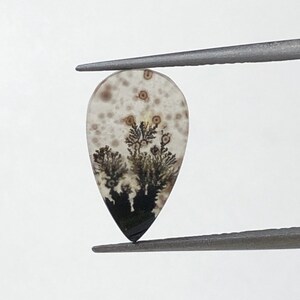 Natürlicher Achat !!! Dendritenachat Cabochon, lose Edelstein, dendritischen Achat für die Herstellung von Schmuck Pendent