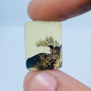 Erstaunlicher Design Achat !!! NATÜRLICHER Dendritischer Achat Oval Cabochon, loser Edelstein, Dendritischer Achat für die Herstellung von Schmuck Pendent.