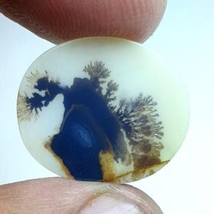 Schön dendritische Achat Runde Cabochon, lose Edelstein, dendritische Achat für die Herstellung von Schmuck Pendent